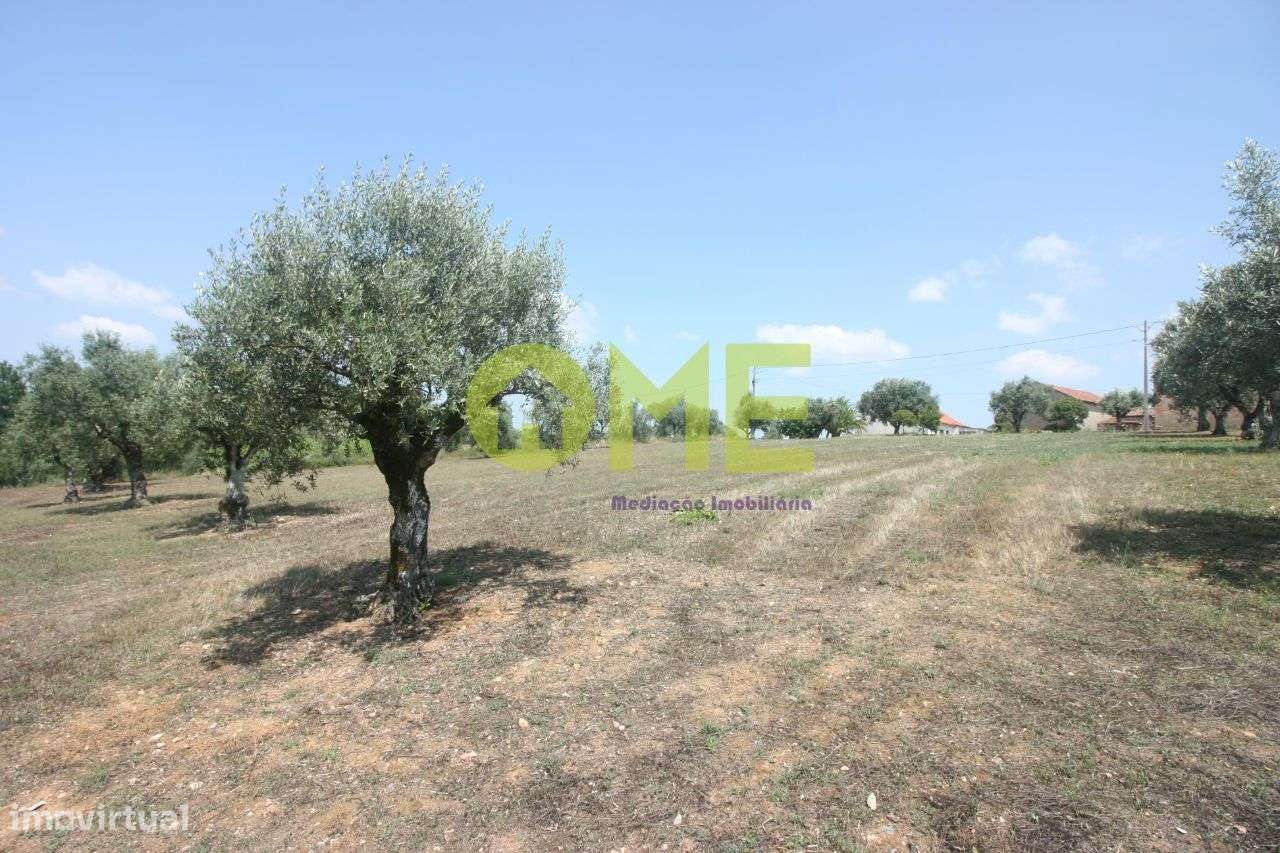 Terreno para construção - Atouguia - Grande imagem: 4/5