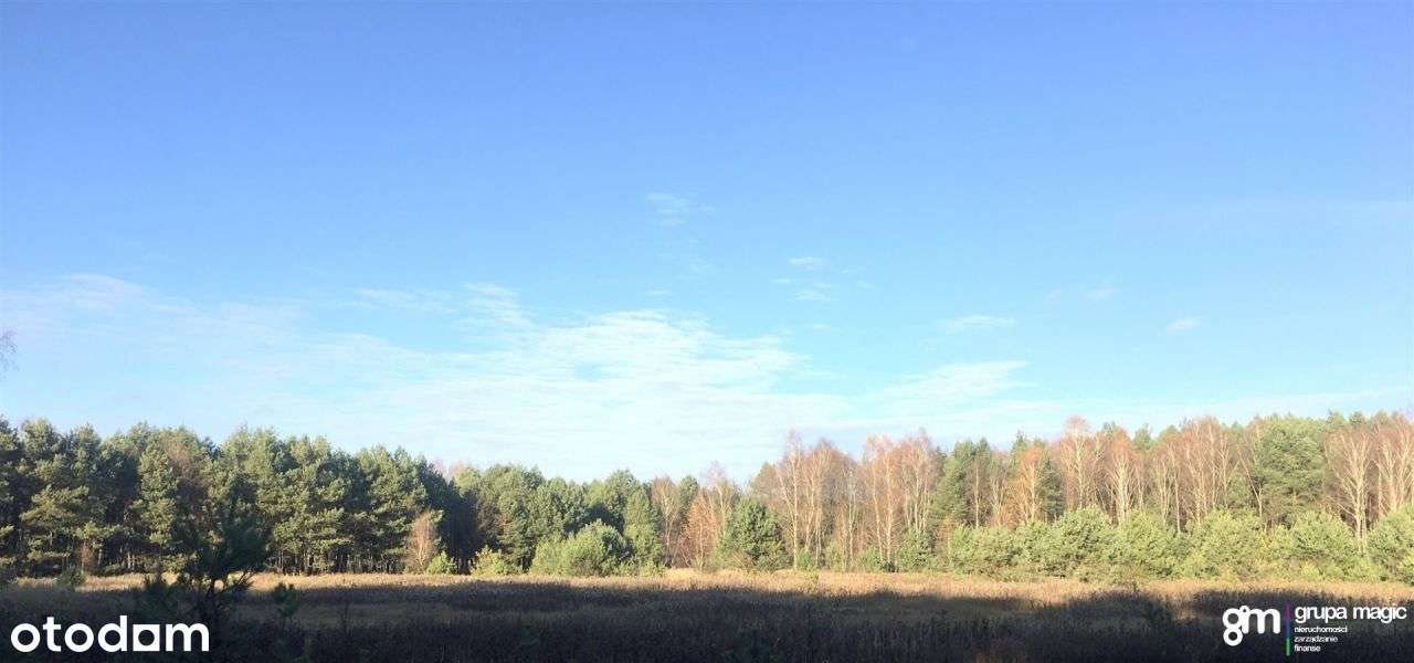 Działka 2,06ha Smogorzewiec - klasoużytki IV - Pełny obrazek: 4/7