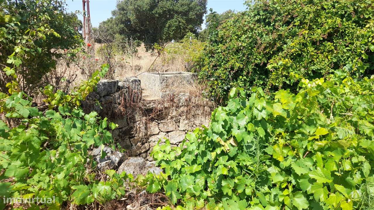 Terreno Rústico  Venda em Escalos de Cima e Lousa,Castelo Branco-7