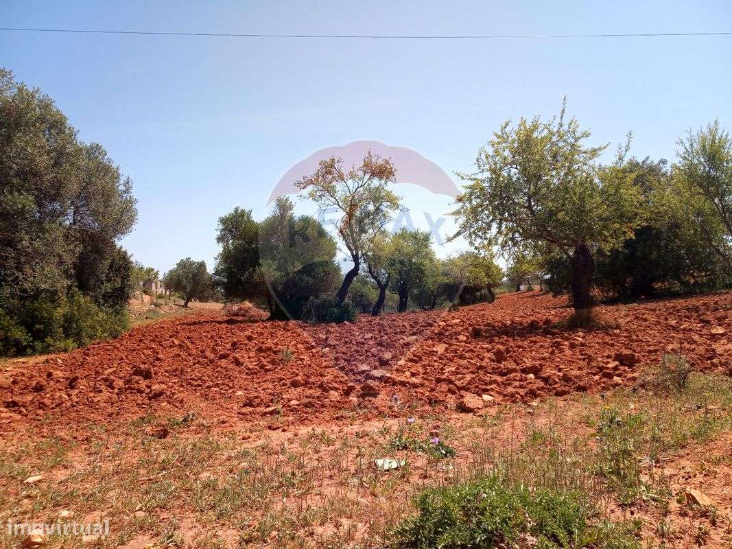 Moradia T4 para venda - Grande imagem: 5/25