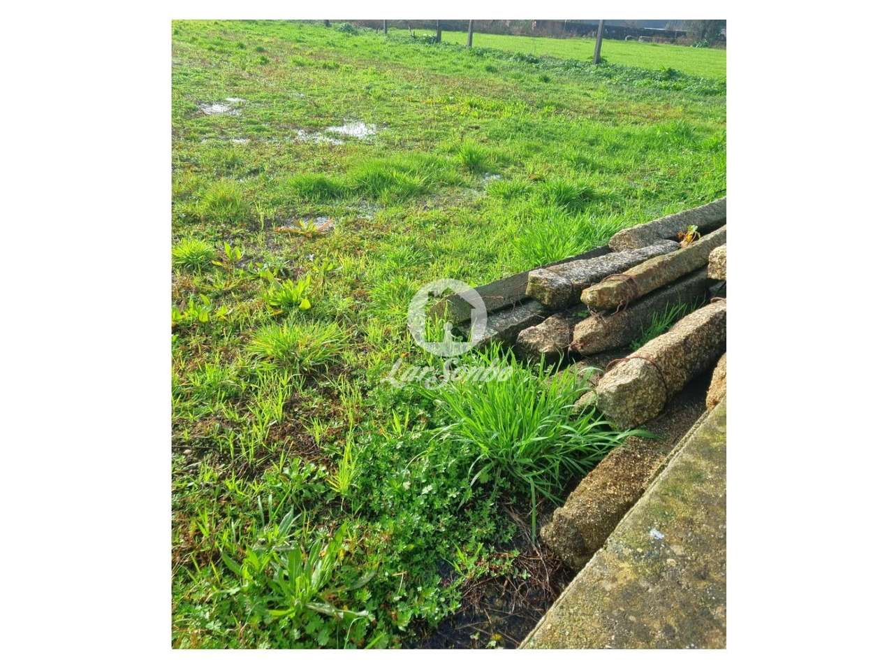 Terreno Urbano em Barcelos - Grande imagem: 5/15