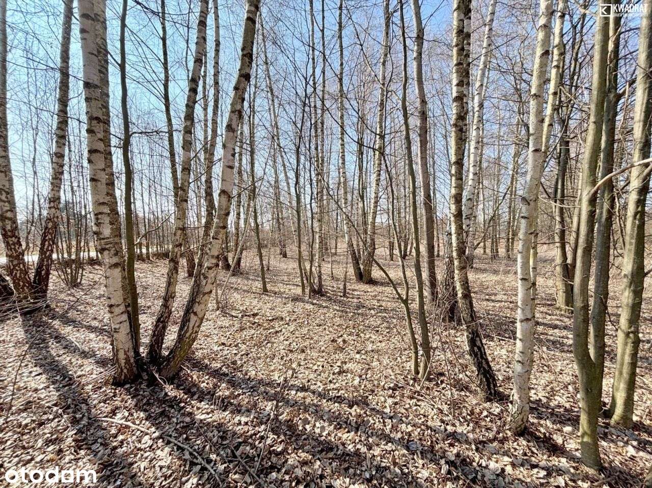 Działka budowlana - 35a - Góry II - Kazimierz Doln - Pełny obrazek: 5/6