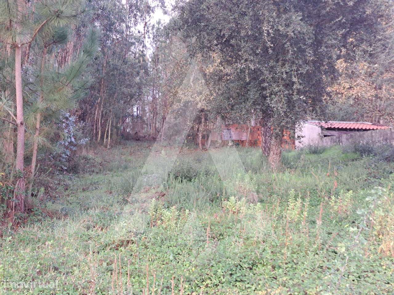 Oportunidade! Terreno em Fermentelos - Grande imagem: 4/8