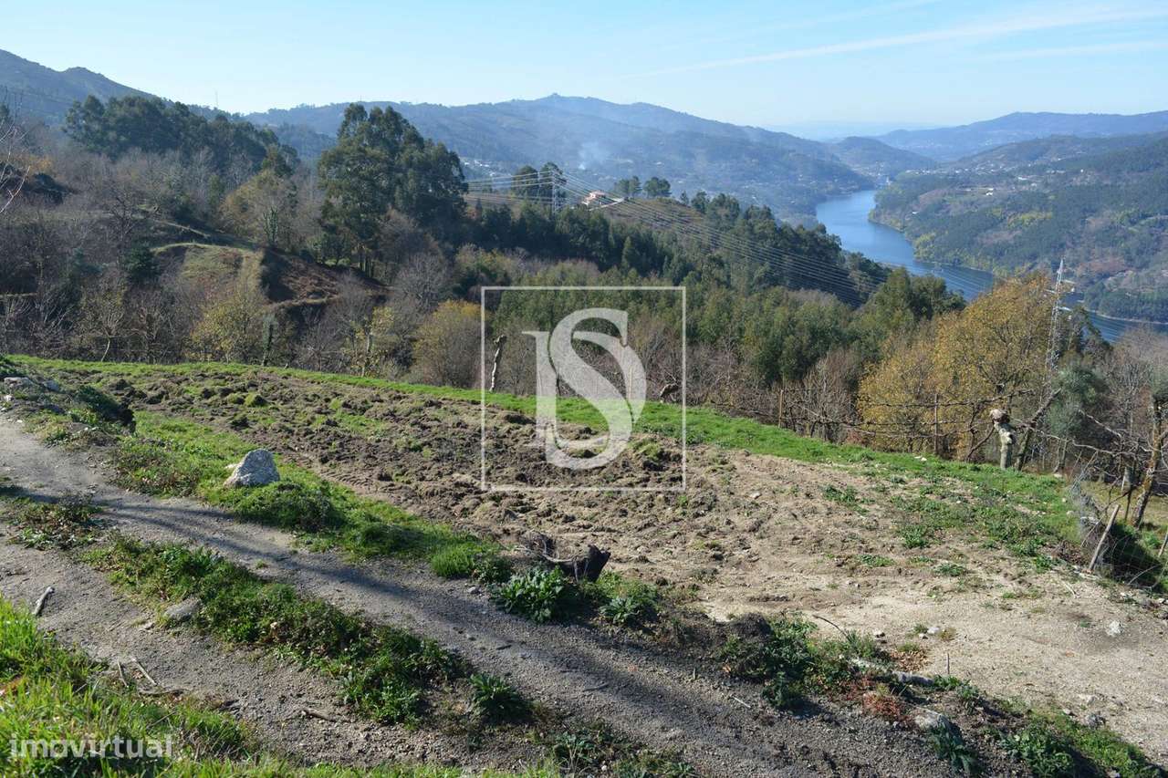 Terreno  Venda em Caniçada e Soengas,Vieira do Minho - Grande imagem: 3/9