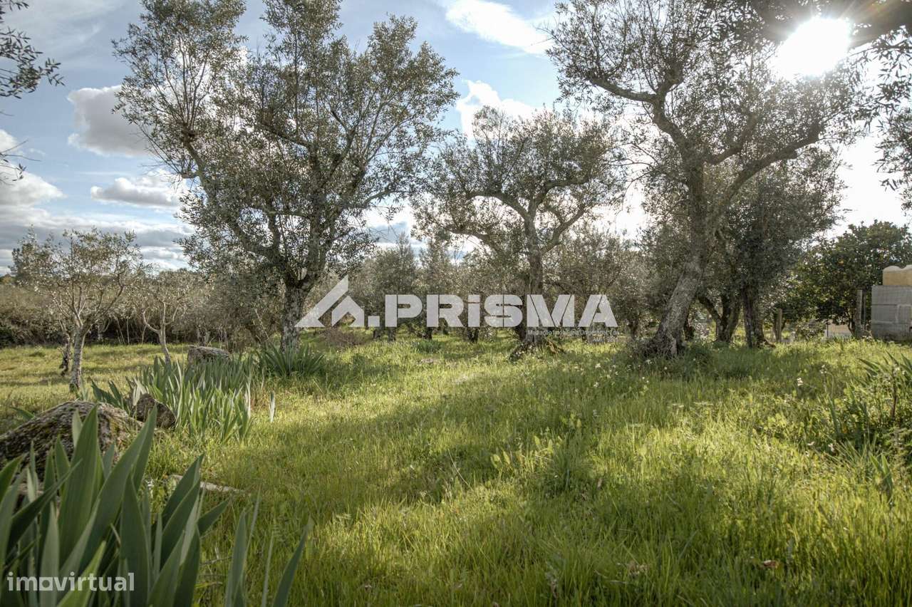 Terreno para venda em Póvoa de Rio de Moinhos - Grande imagem: 4/25