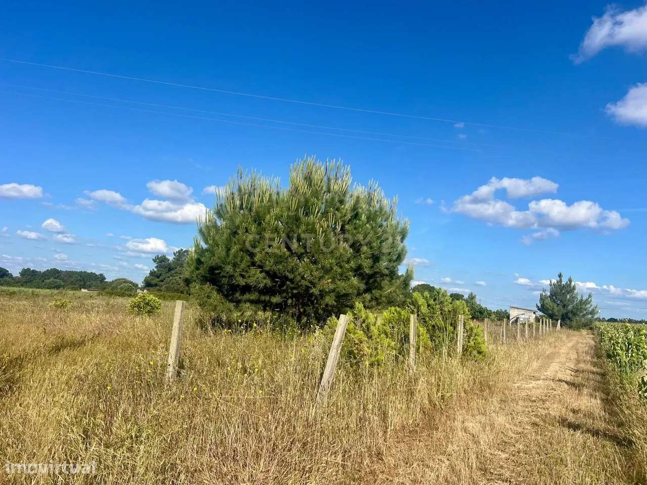 Terreno Rústico em Palmela, com Água e Eletricidade - 6000m² - Grande imagem: 5/10