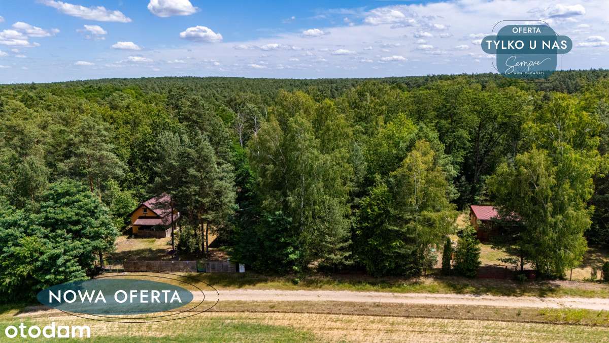 Leśna enklawa pod zabudowę - Pełny obrazek: 2/10