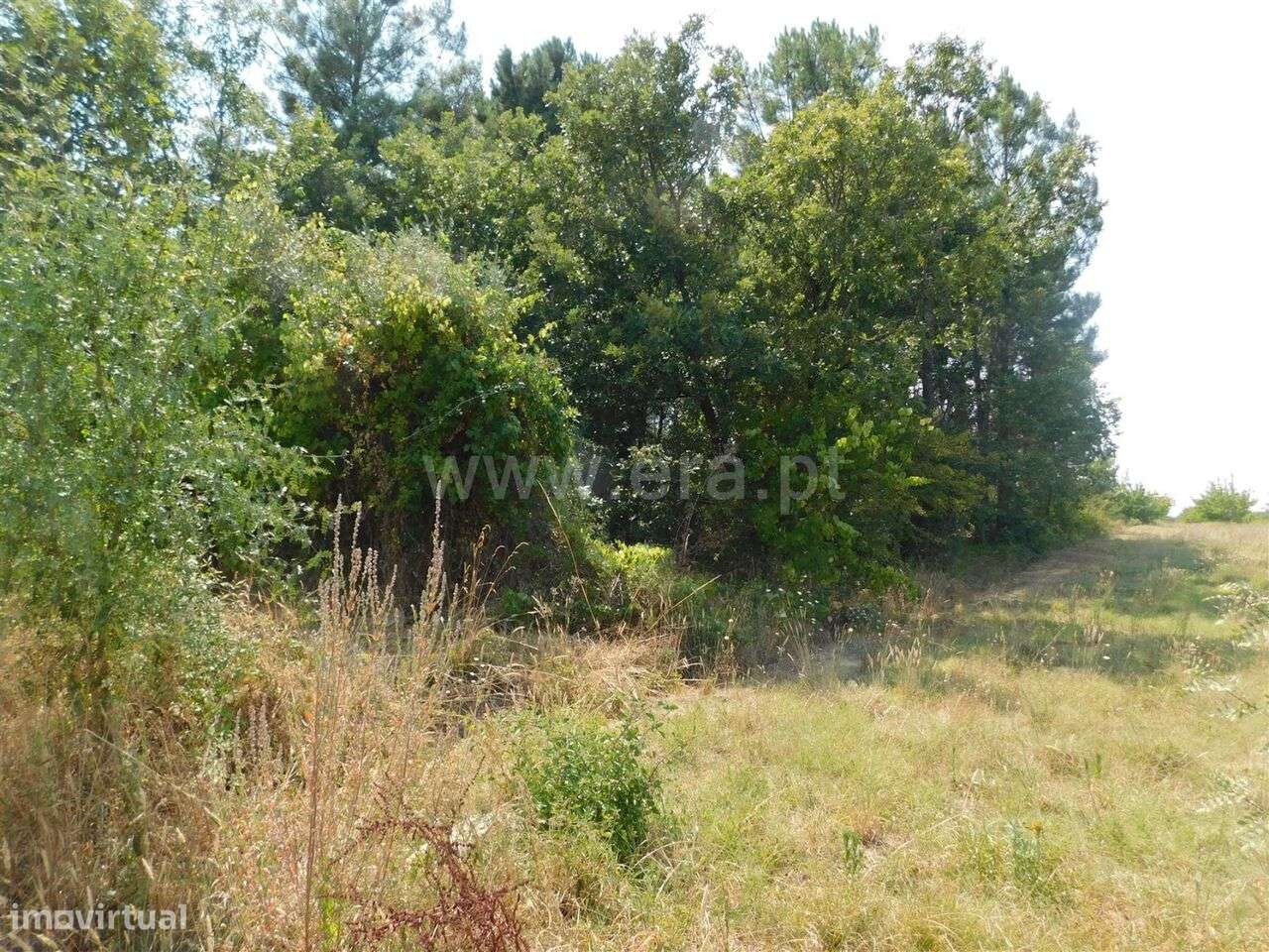 Terreno Rústico / Fundão, Valverde - Grande imagem: 2/5