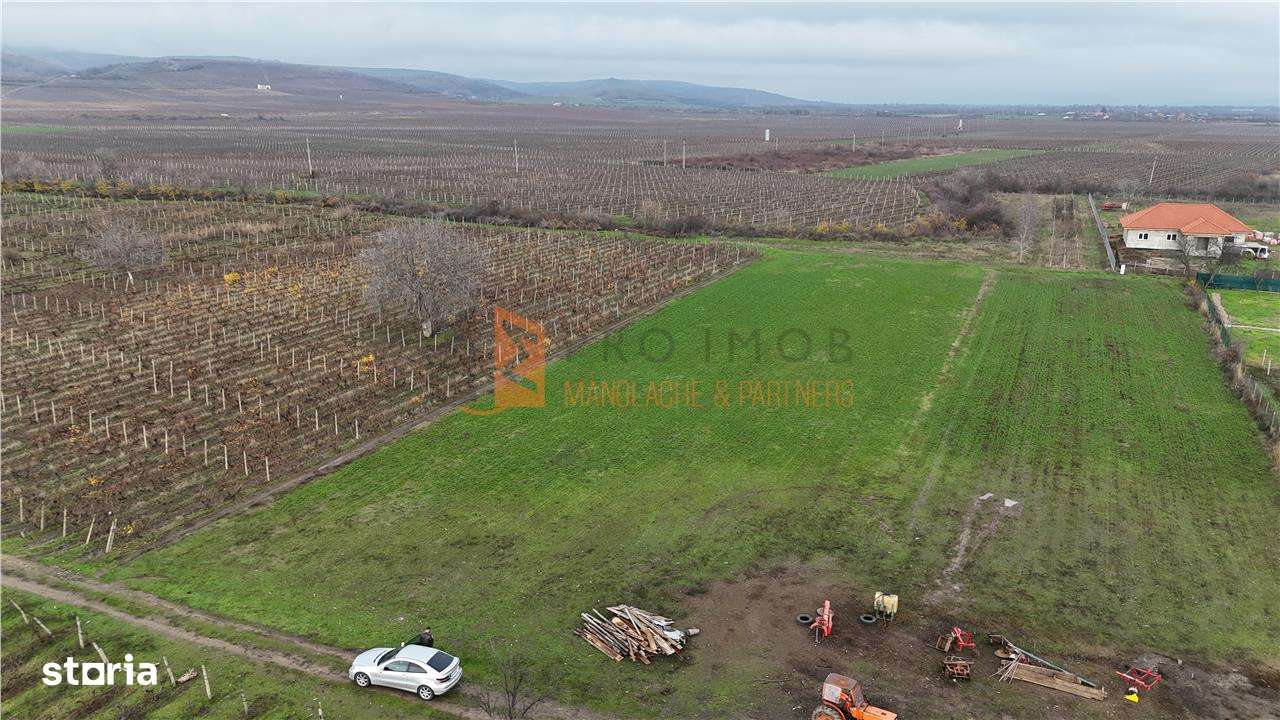 EXCLUSIVITATE! Teren intravilan in Merei Buzau - Imagine principală: 2/4