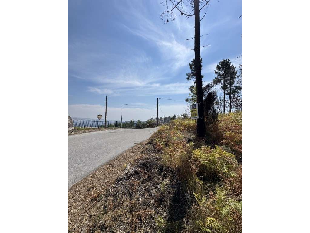 Terreno para venda em Mões - Castro Daire - Grande imagem: 3/10