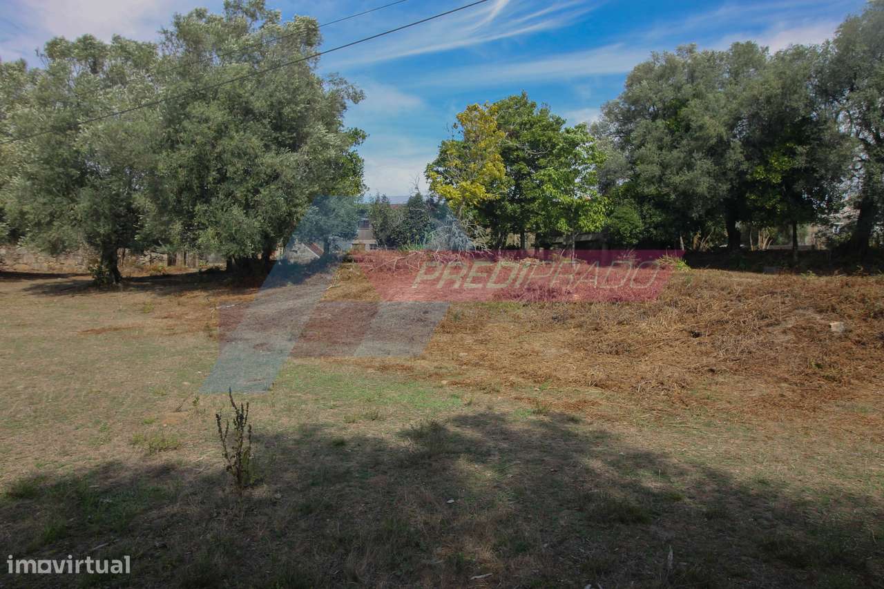 Fantástico Terreno para Construção em Cervães! - Grande imagem: 4/18