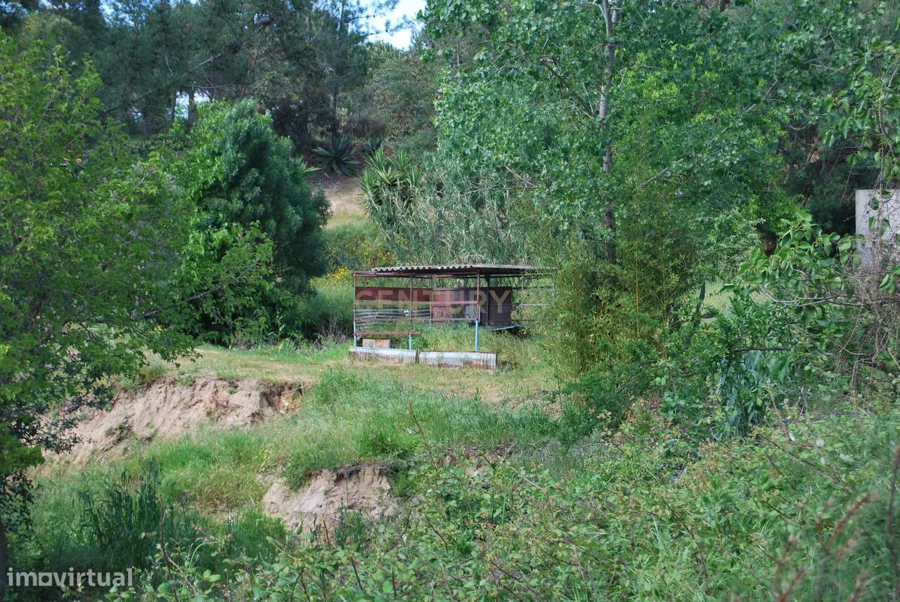Terreno rústico 28200m2 em Vale do Junco, Chamusca, Golegã-20