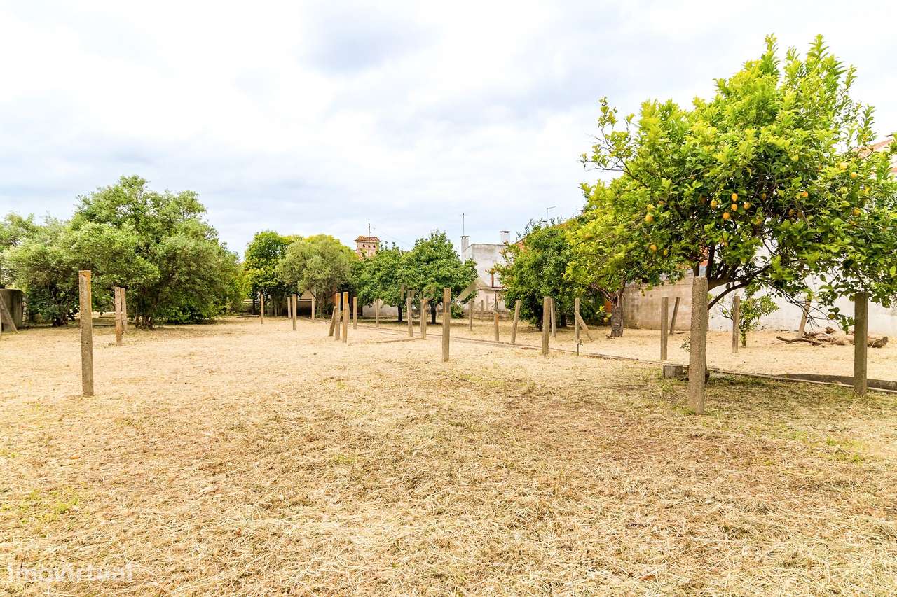 Moradia T3 com Terreno de 2.270m² no Centro do Entroncamento-29
