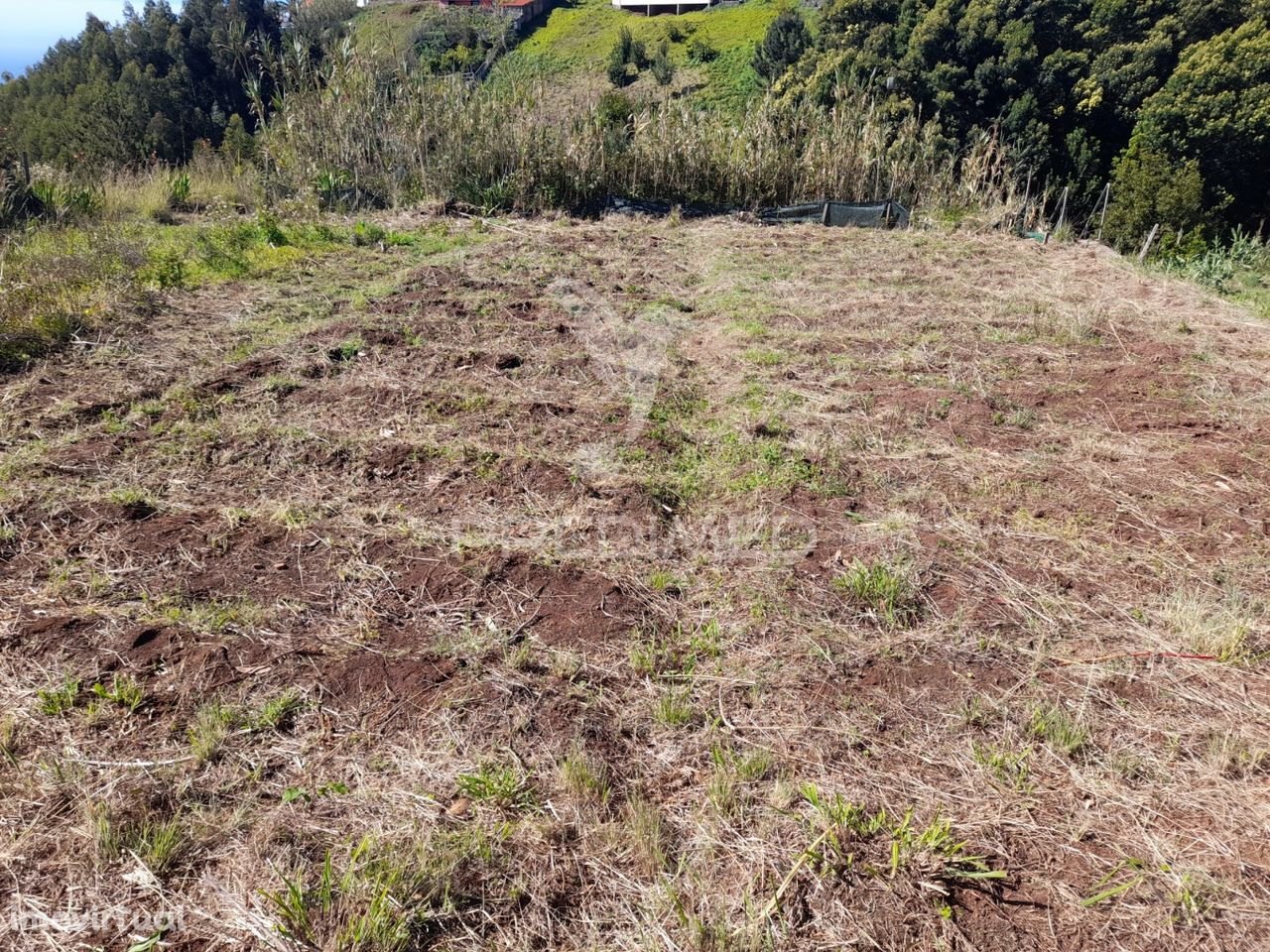 Terreno Rústico em Gaula, com 1535 m2, para exploração agrícola