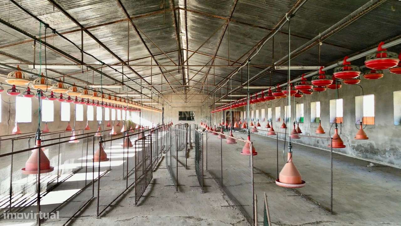 Lote 12.750 m² com 5 Armazéns | Acesso imediato à A41 | Oportunidade Ú-6