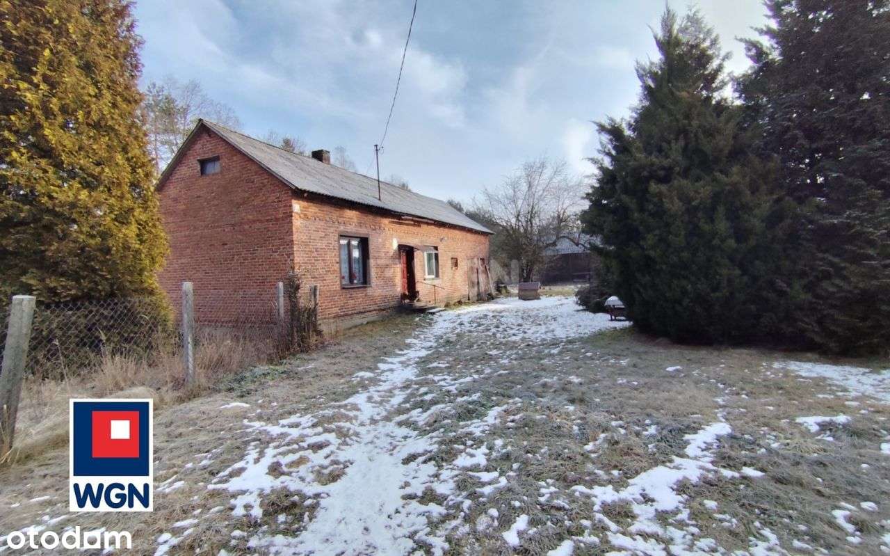 Dom, 40 m², Adamów-7