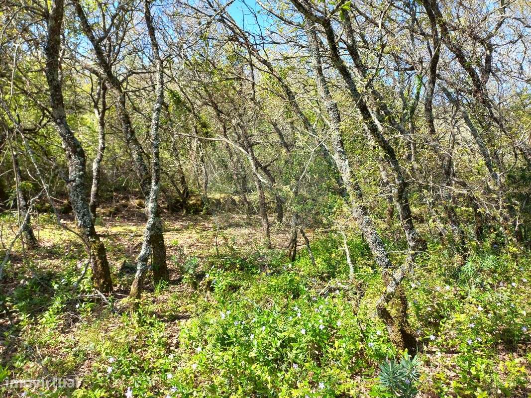 Terreno  para venda - Grande imagem: 4/10