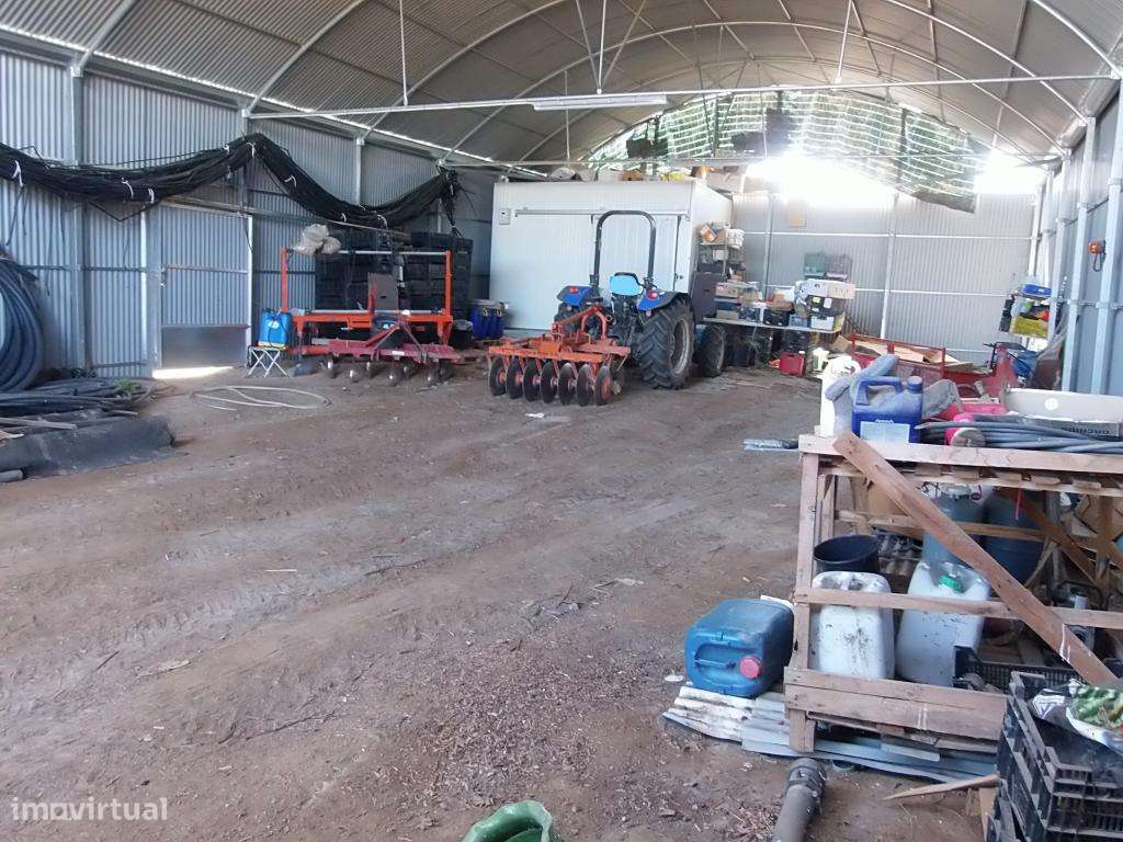 Quinta com exploração biologica - Grande imagem: 4/19