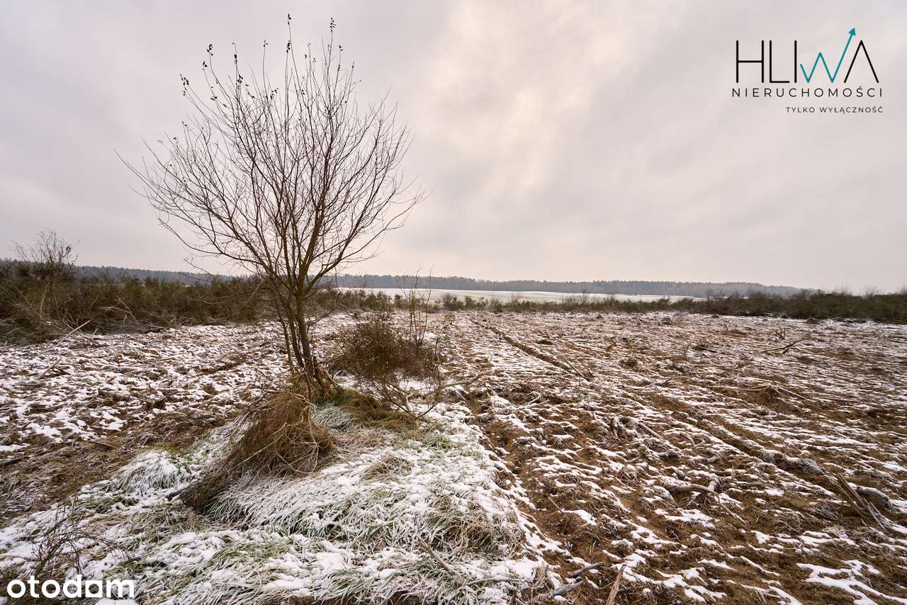 Działka zagrodowa Mierzyno gm. Gniewino 3011 m2-13
