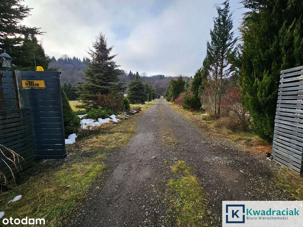 Działka Inwestycyjna W Huzelach k. Leska - Pełny obrazek: 4/5