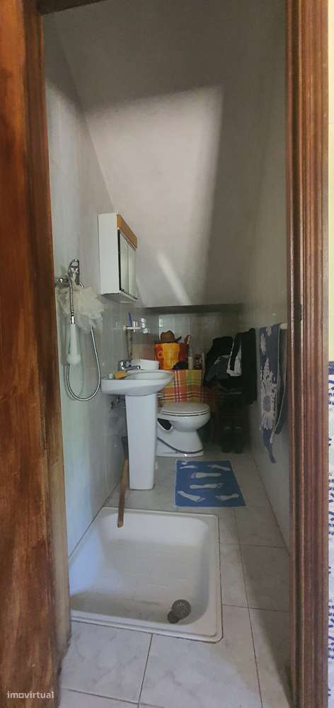 Quinta  5000m2 Viver no Campo Com a Cidade Por Perto Passil Alcochete-24