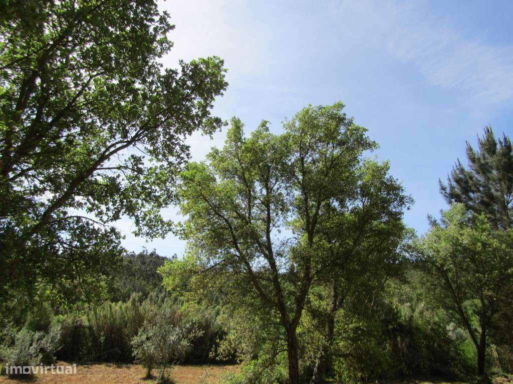P26-238 Casal da Loba - Terreno Urbanizável no Centro de Portugal e...-18