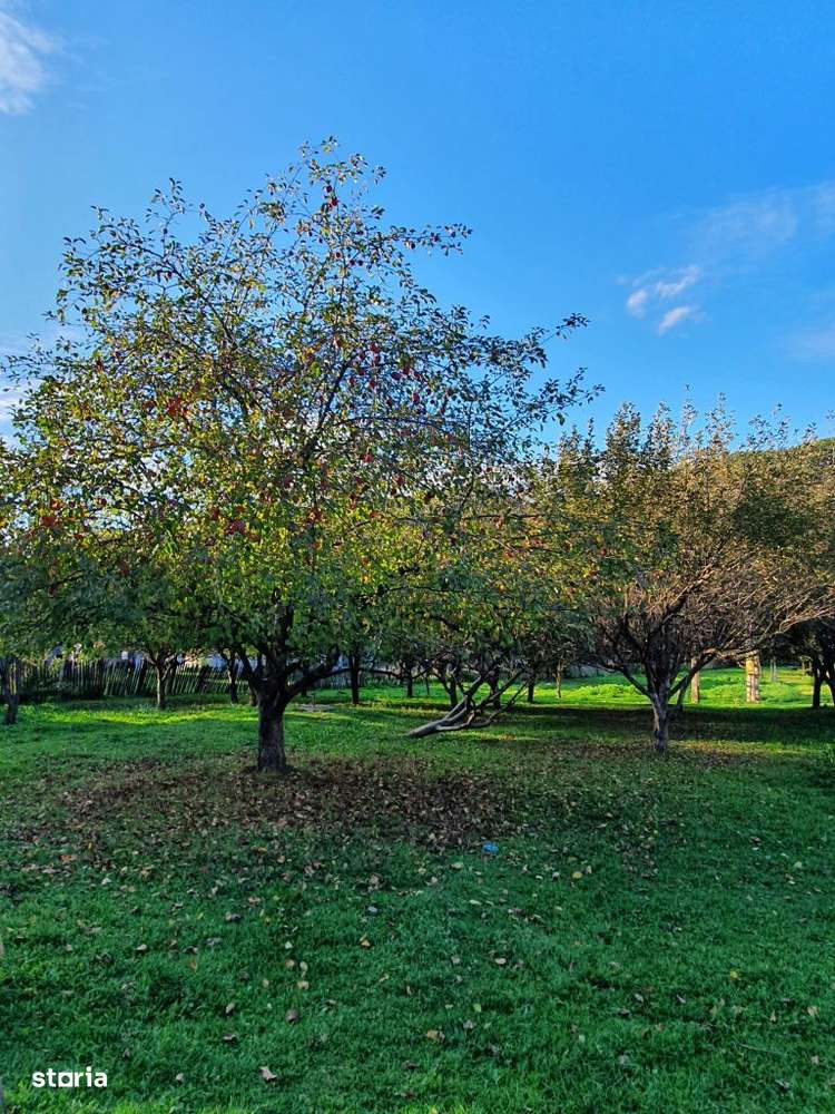 Puciosa Moreni Valea Lunga Sat Izvoru 20000mp teren de vanzare - Imagine principală: 2/20