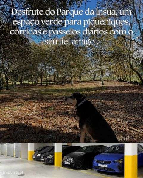 Luxo, Conforto, Comodidade - Grande imagem: 5/10