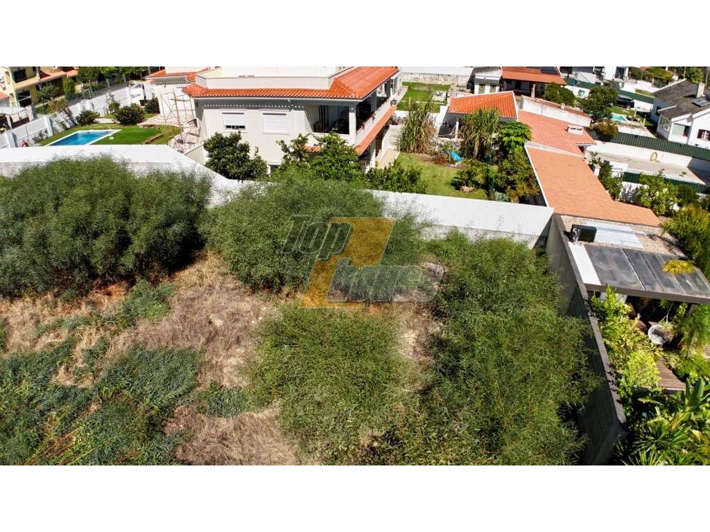 Oportunidade Única na Marisol: Terreno Urbano com 1.000 m²-5