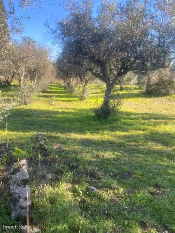 Terreno - Grande imagem: 2/6