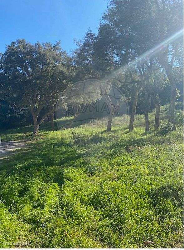 Terreno  para venda - Grande imagem: 2/5