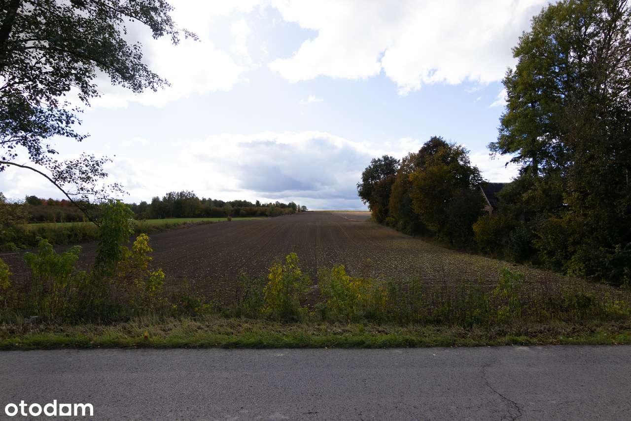 Działka budowlana Chmiel - Kolonia-4