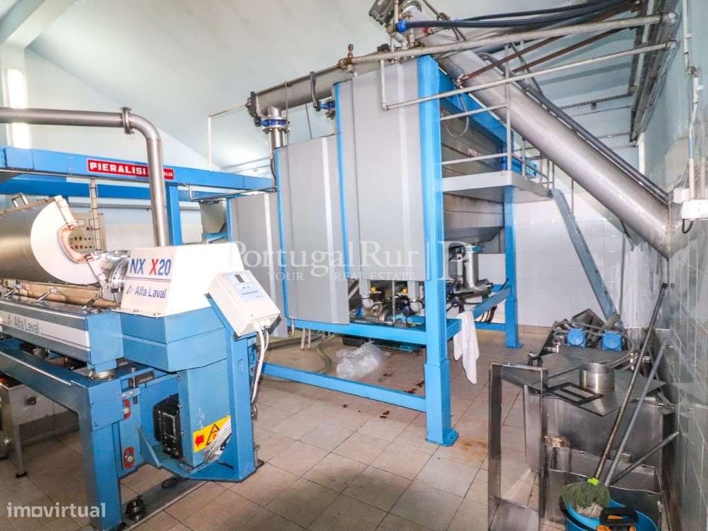 Unidade Industrial de Produção de Azeite & Elevado Potencial Produtivo-33