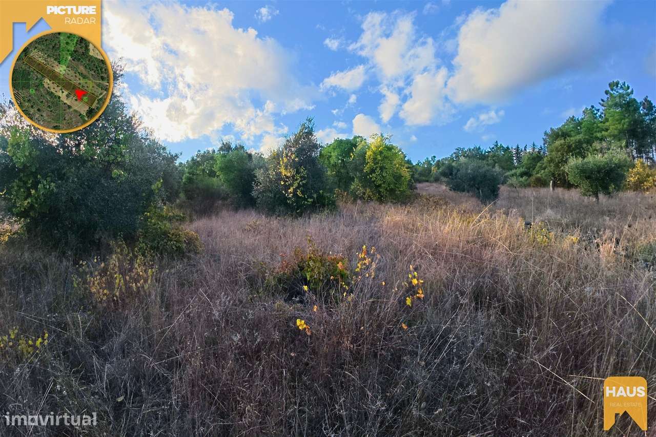 Terreno Rústico 2.300m² c/ Muros de Pedra – Juncal do Campo-23