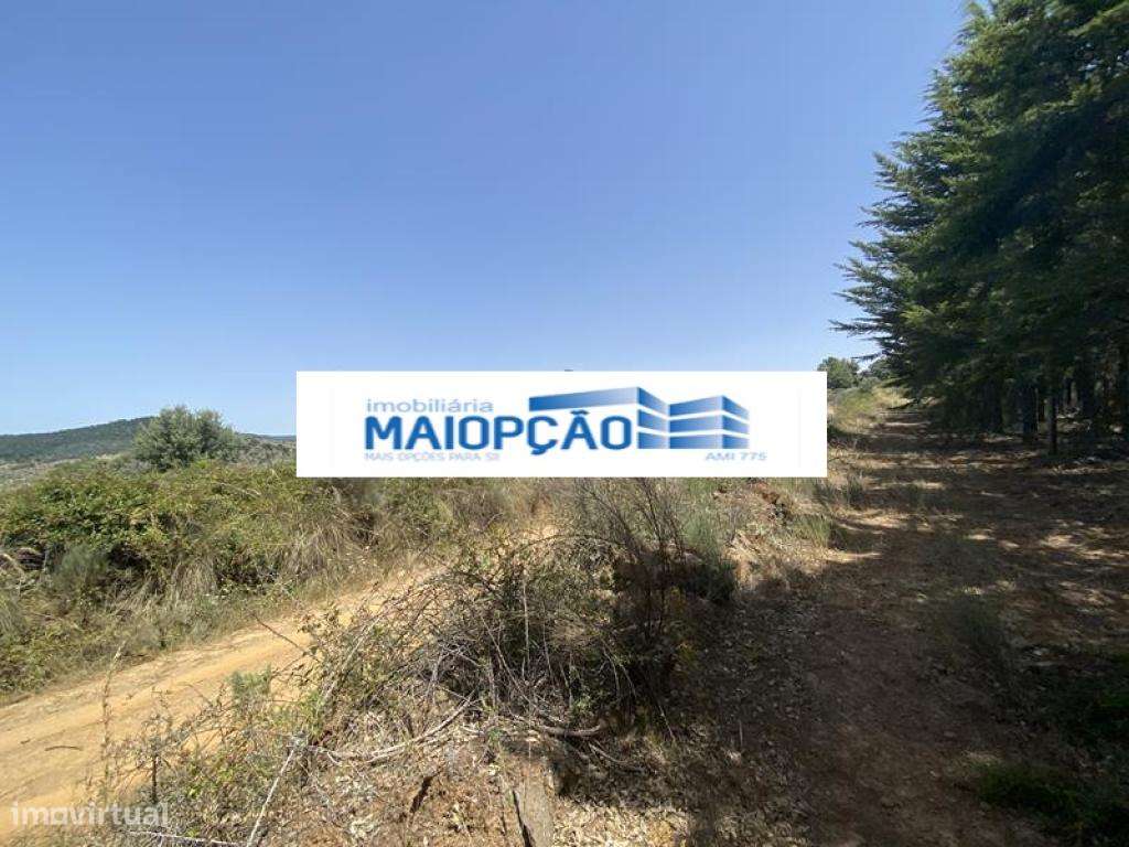 Venda - Terreno Rustico - Grande imagem: 2/3