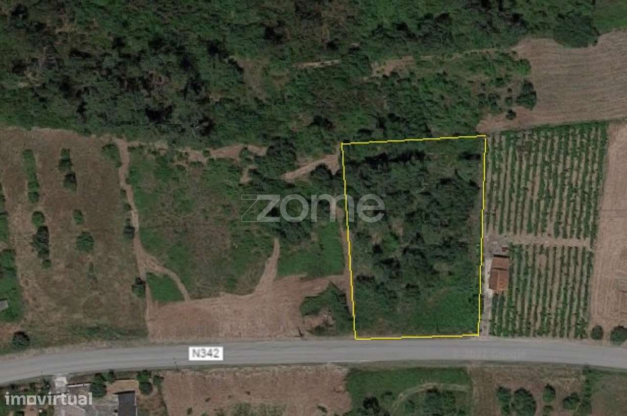 Terreno na Freguesia de Soure - Grande imagem: 2/17