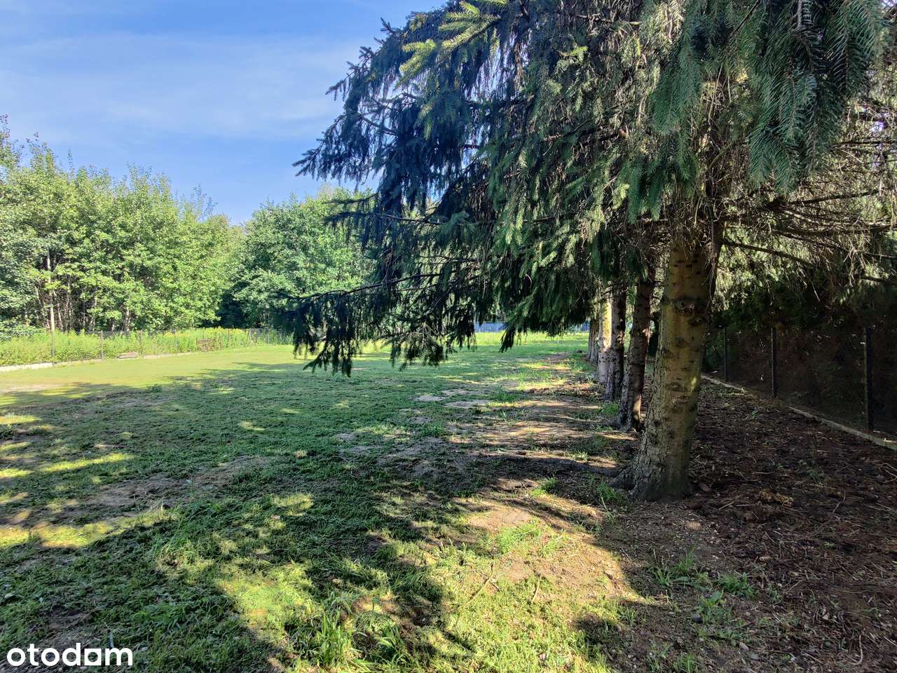 Ogrodzona rolno-budowlana w Janowie-5