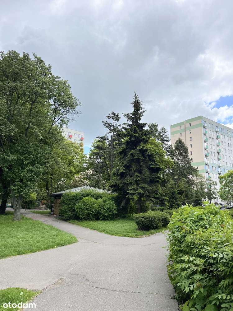 Na sprzedaż – 2-pokojowe mieszkanie z pięknym widokiem-13