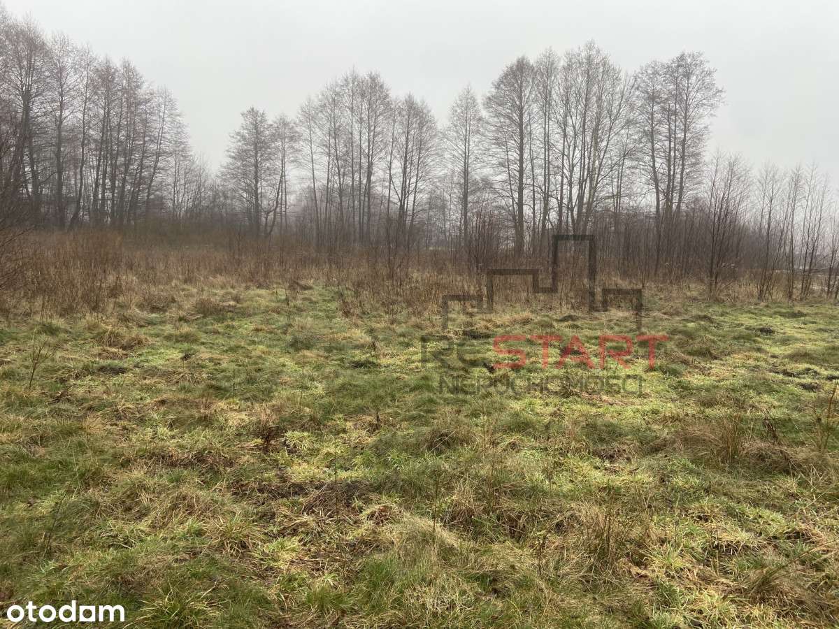 Działka w Zboiskach gm. Radziejowice - Pełny obrazek: 4/5