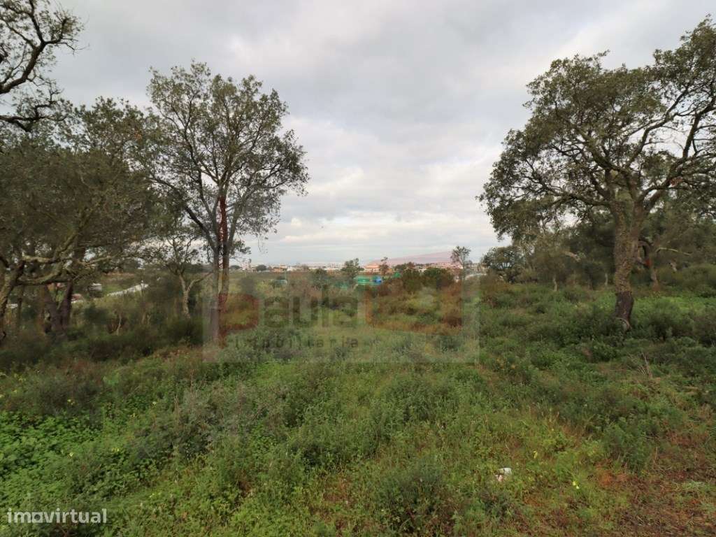 TERRENO COM 5.5HA ALCOCHETE-10
