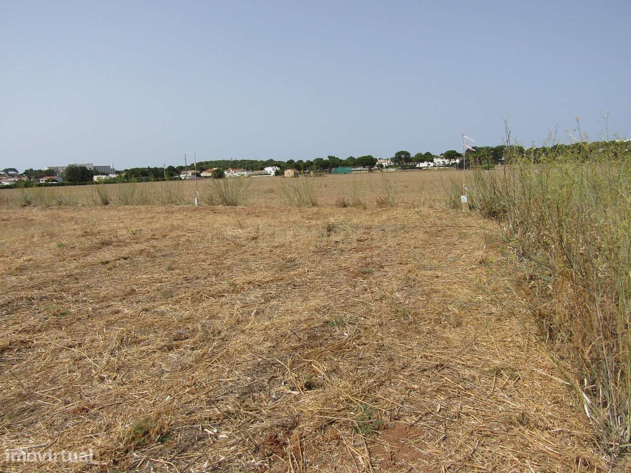 Terreno Rústico - Grande imagem: 3/12