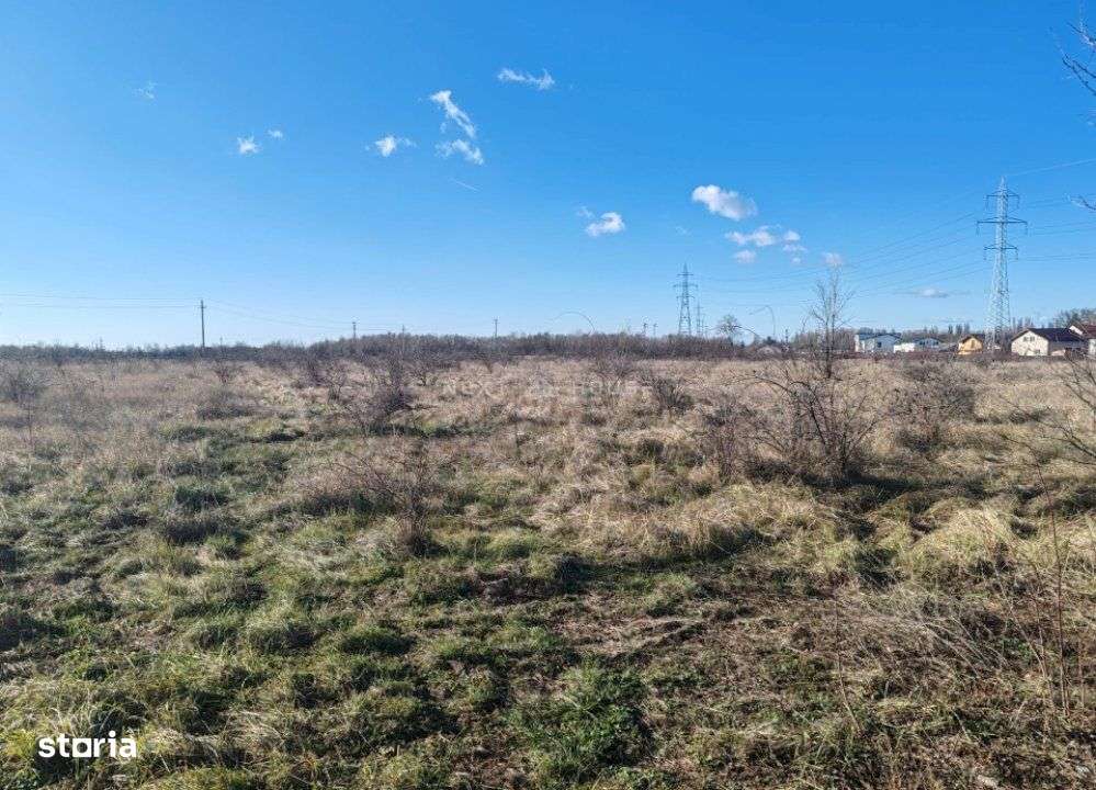 Teren Joita -  Bacu - Dragomiresti-2