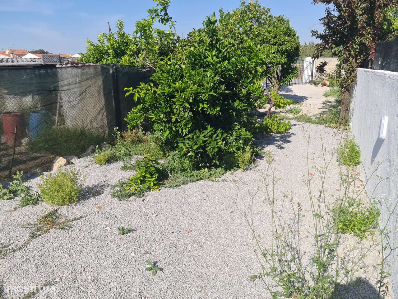 Moradia T3 Renovada Niza - Com Quintal-37