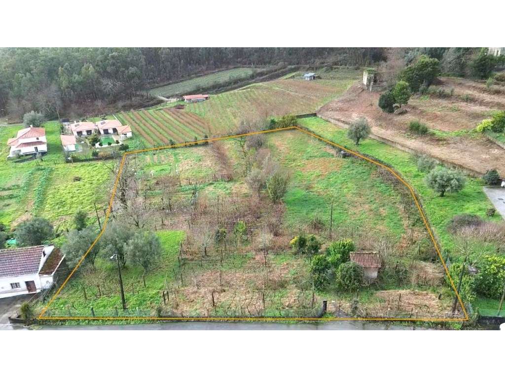 Terreno 6.280 m² para Construção com Possibilidade de Várias Moradi... - Grande imagem: 2/8