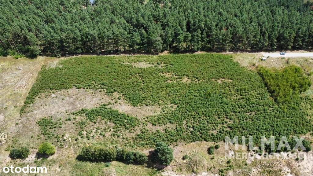 Działka z MPZP i infrastrukturą - Pełny obrazek: 4/8