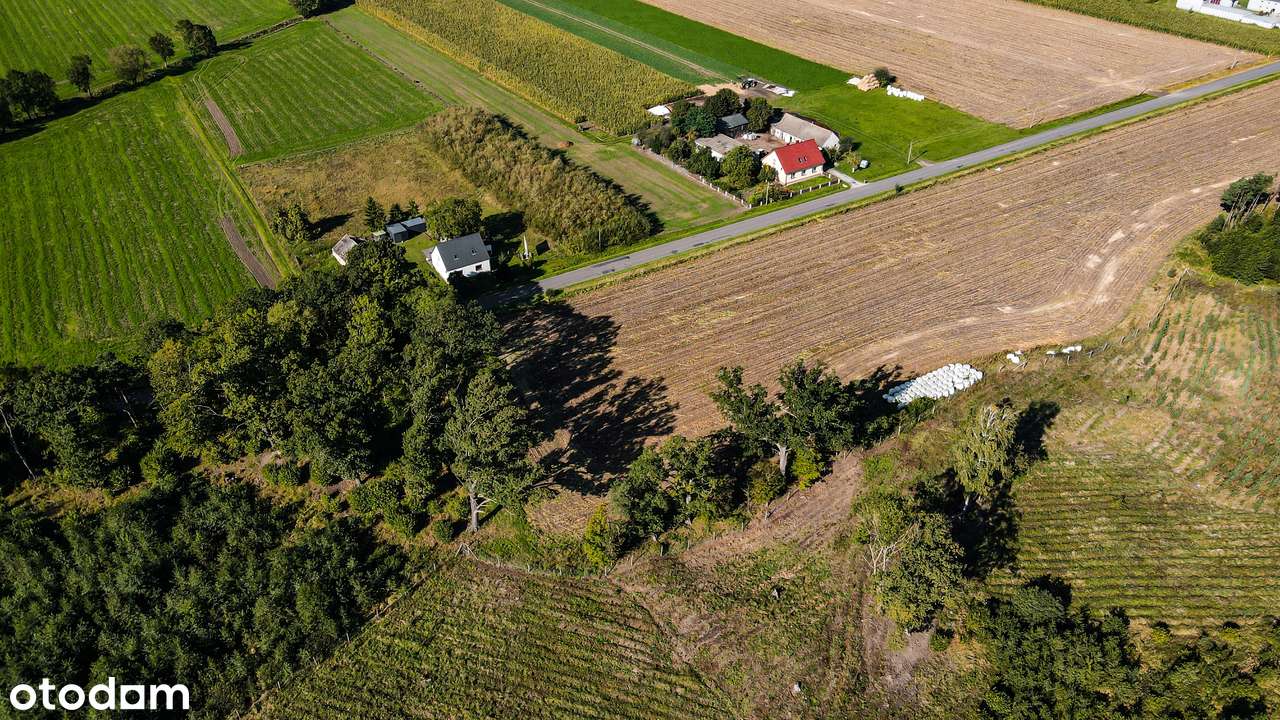 Nowy Folwark, gm. Września, pow. wrzesiński, woj. wielkopolskie-8