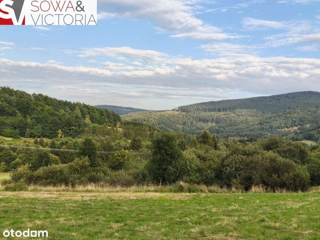 Widokowa działka pod lasem , prąd na działce-4