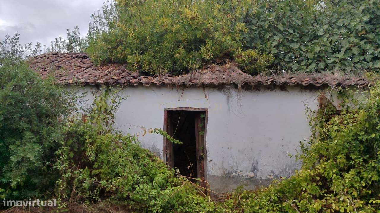 Casa de Campo em São Vicente do Paul, Santarém - Oportunidade Única-34