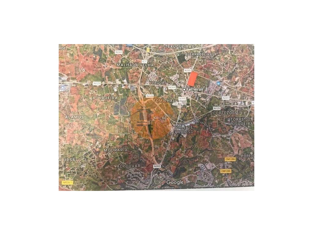 Terreno com 23332 m2 com viabilidade de construção de 61 apartament... - Grande imagem: 3/15