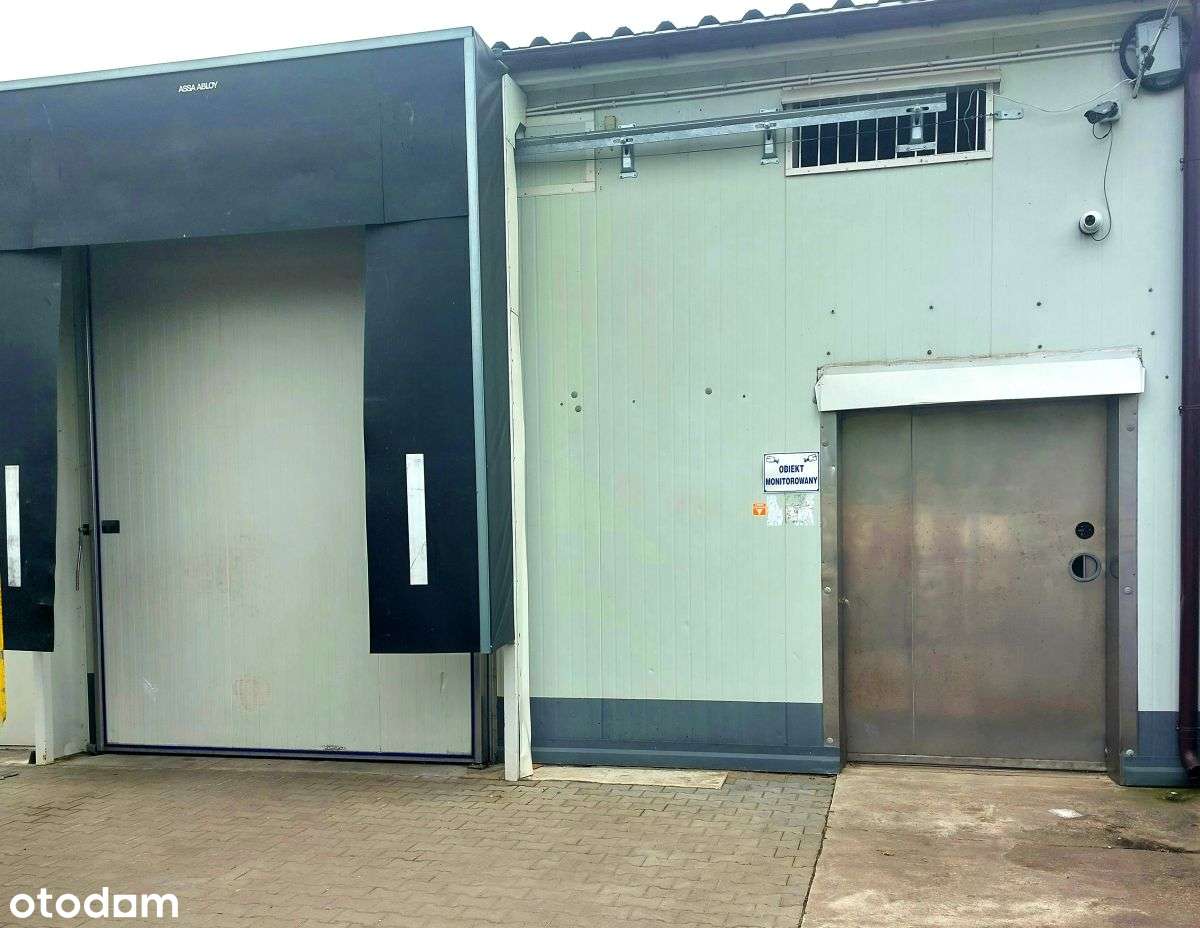Hala sprzedaż Warszawa Targówek magazyn, chłodnia - Pełny obrazek: 5/20